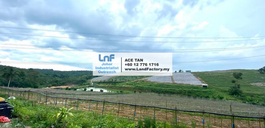 Ulu Tiram – Agricultural Land – SALE