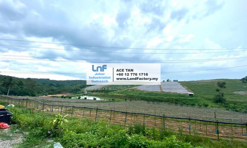 Ulu Tiram – Agricultural Land – SALE