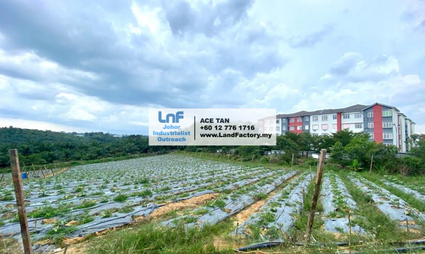 Ulu Tiram – Agricultural Land – SALE