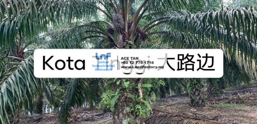 Kota Tinggi – Agricultural Land – SALE