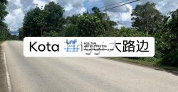 Kota Tinggi – Agricultural Land – SALE