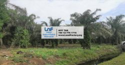 Pekan Nanas – Agriculture Land – SALE