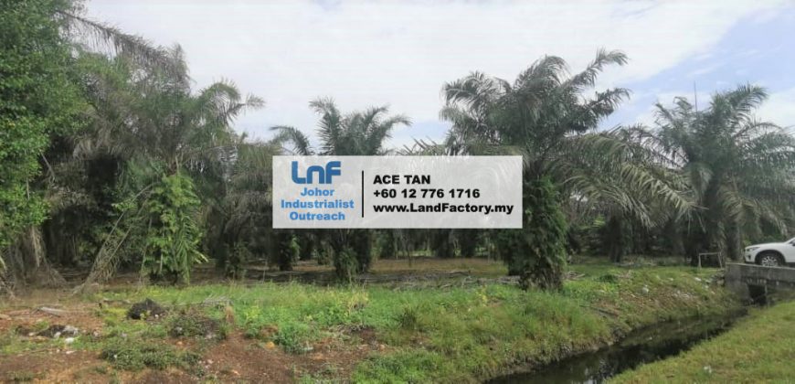 Pekan Nanas – Agriculture Land – SALE