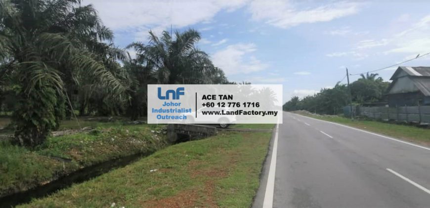 Pekan Nanas – Agriculture Land – SALE