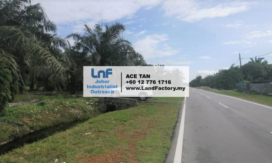 Pekan Nanas – Agriculture Land – SALE