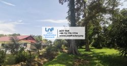 Pontian – Agriculture Land – SALE