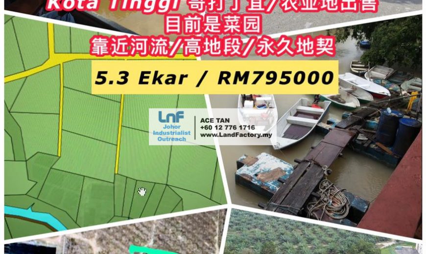 Kota Tinggi – Agricultural Land – SALE