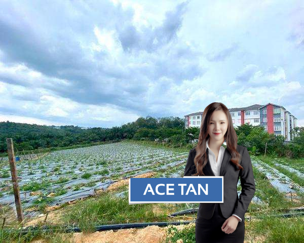 Agricultural Land Johor Bahru, Johor Commercial Real Estate Agent Ace Tan