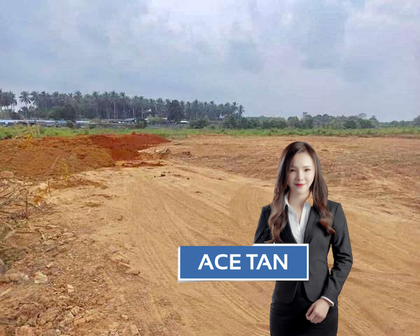 Industrial Land Johor Bahru, Johor Commercial Real Estate Agent Ace Tan