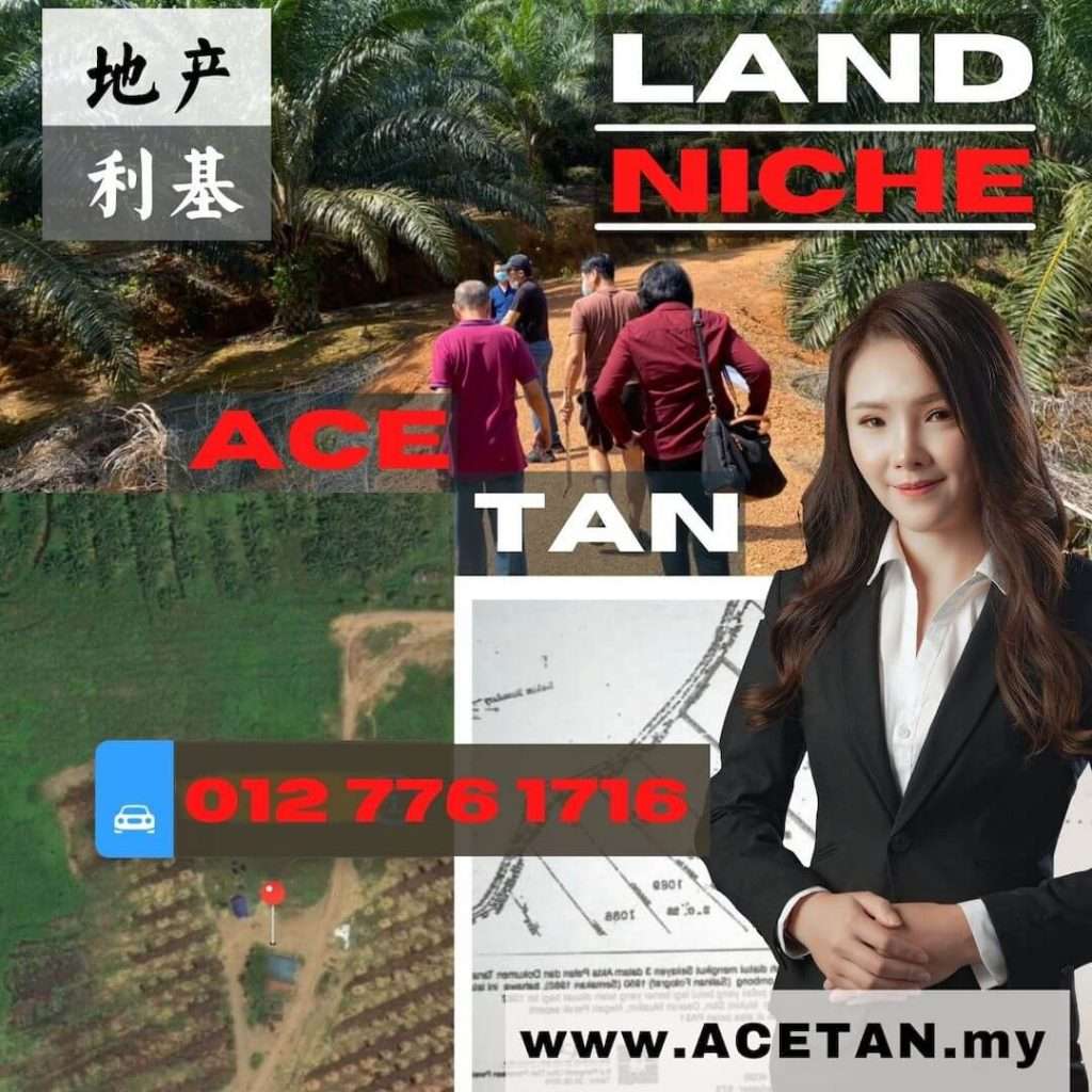 Johor-Land-for-Sale-Ace-Tan malaysia