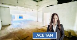 Taman Gembira @ Tampoi – 1.5 Storey Link Factory – FOR SALE