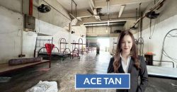 Taman Gembira @ Tampoi – 1.5 Storey Link Factory – FOR SALE