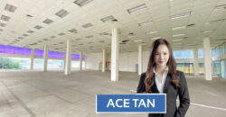 Larkin Industrial Area – Detached Multi Storey Factory – FOR RENT