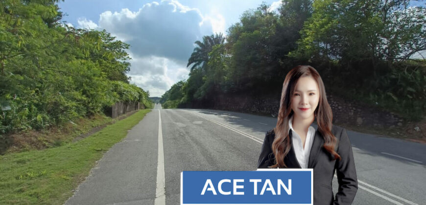 Senai – Agriculture Land – FOR SALE