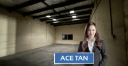 Mount Austin – 1.5 Storey Terrace Factory (2 Adjoin Unit) – FOR SALE