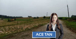 Senai – Agriculture Land – FOR SALE