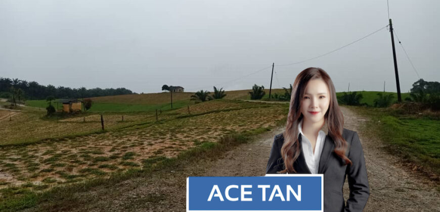 Senai – Agriculture Land – FOR SALE