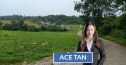 Senai – Agriculture Land – FOR SALE