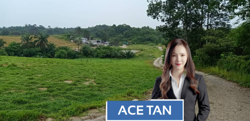 Senai – Agriculture Land – FOR SALE