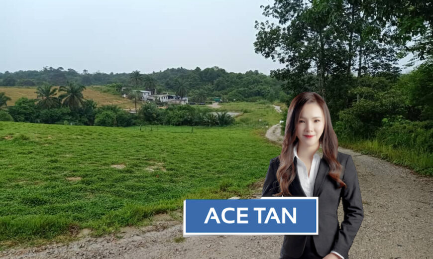 Senai – Agriculture Land – FOR SALE