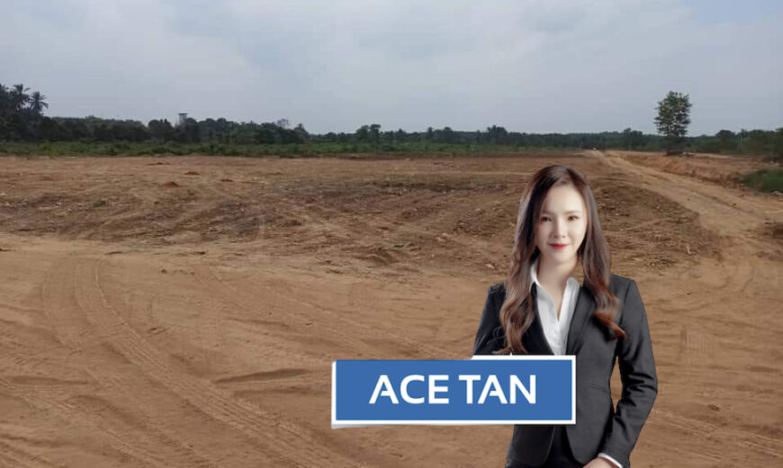 Senai – Industrial Land – FOR SALE