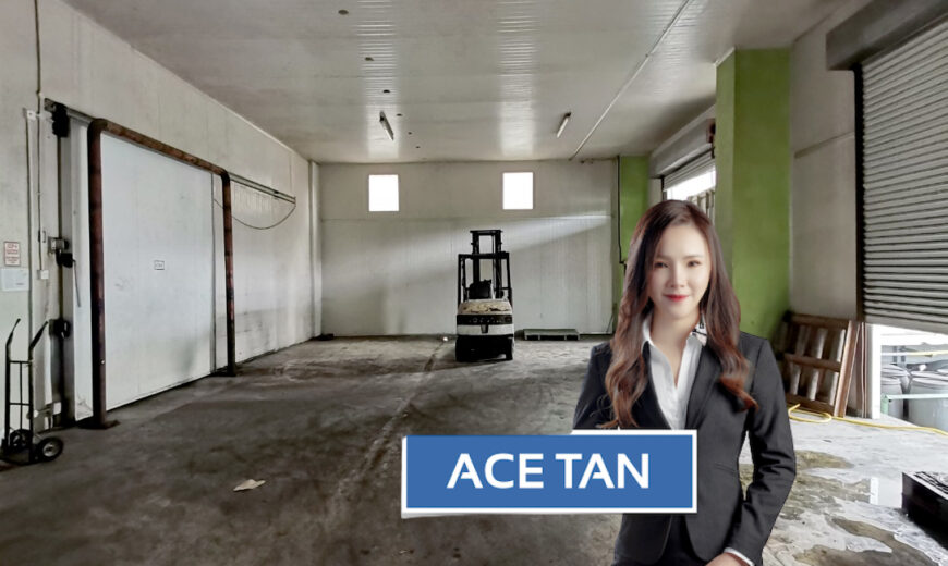 Kawasan Perindustrian Simpang Renggam – Industrial Land – FOR SALE