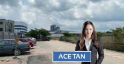 Taman Gembira @ Tampoi – 2 Storey Detached Factory – FOR SALE