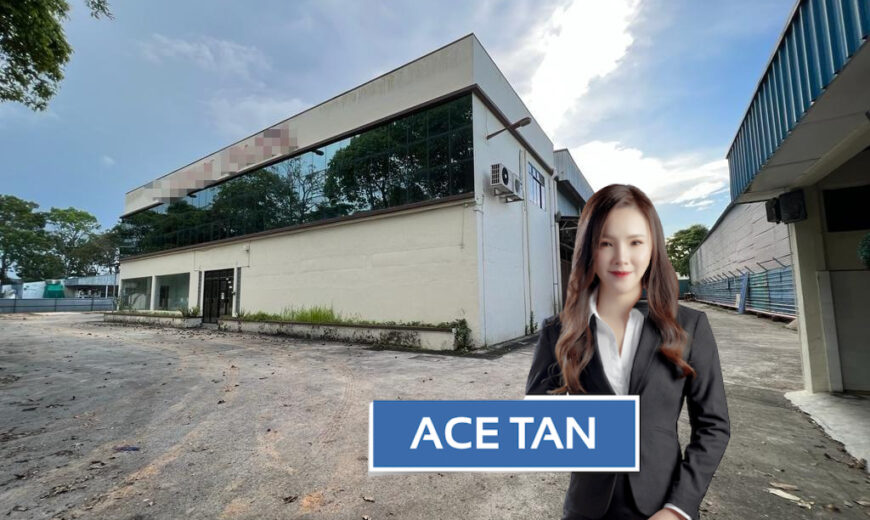 Senai Industrial Park 3 – Detached Factory – FOR SALE