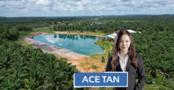 Simpang Renggam – Agriculture Land – FOR SALE
