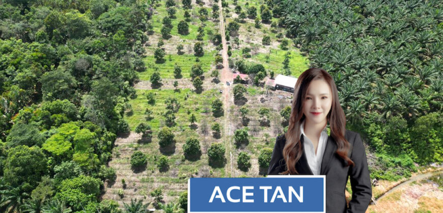 Simpang Renggam – Agriculture Land – FOR SALE