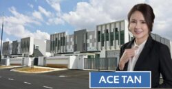 Eco Business Park 1 – 1.5 Storey Cluster Factory – FOR RENT