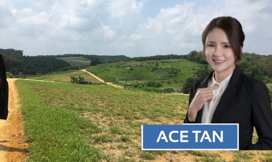 Senai – Agriculture Land – FOR SALE