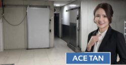 Permas Jaya – 1.5 Storey Link Factory – FOR SALE