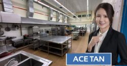 Kempas – 1.5 Storey Link Factory – FOR SALE