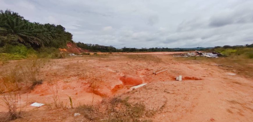 Senai – Industrial Land – FOR SALE