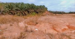 Senai – Industrial Land – FOR SALE