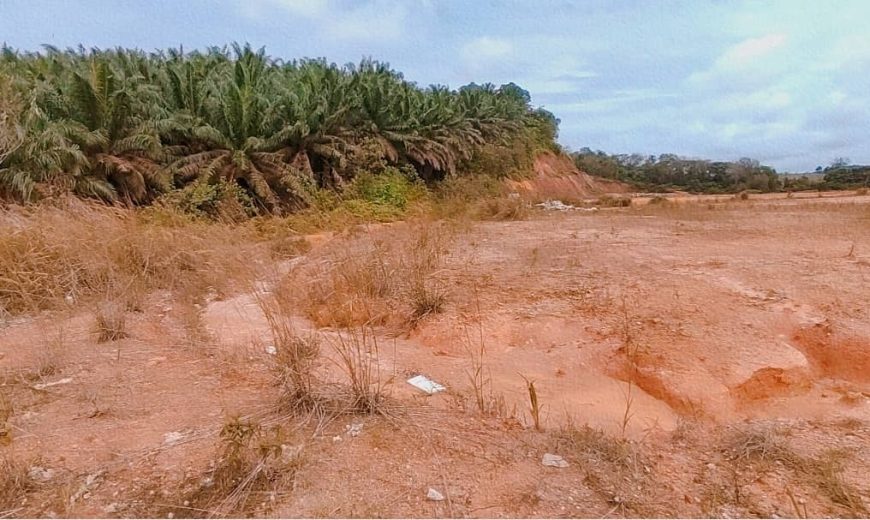 Senai – Industrial Land – FOR SALE