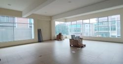 Tiong Nam Industrial Park @ Mount Austin – 3 Storey Semi Detached Factory – FOR RENT