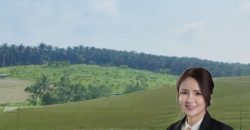Seelong @ Senai – Industrial Land – FOR SALE