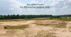 Senai – Industrial Land – FOR SALE