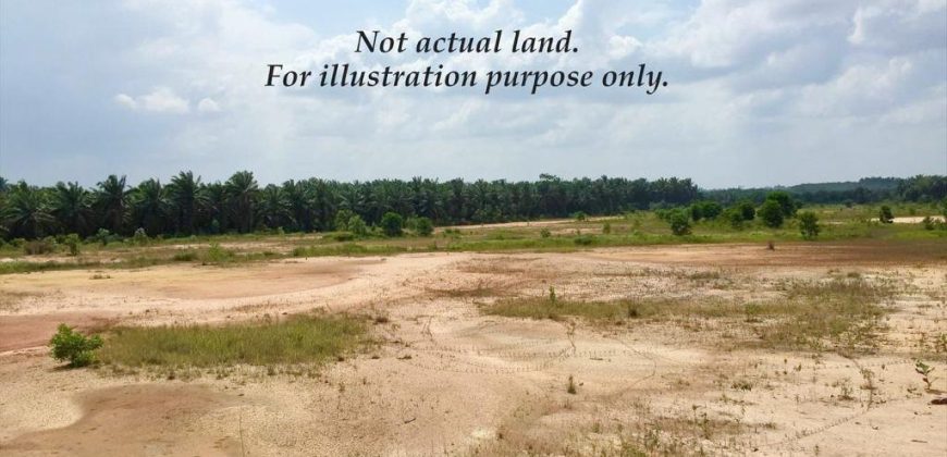 Senai – Industrial Land – FOR SALE