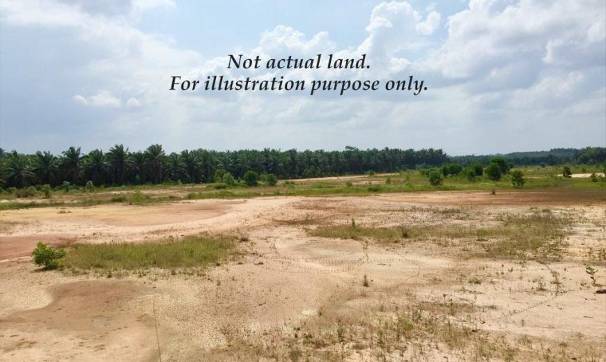 Senai – Industrial Land – FOR SALE