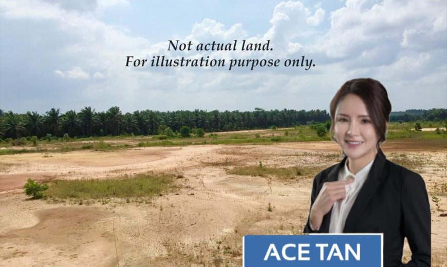 Senai – Industrial Land – FOR SALE