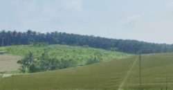 Seelong @ Senai – Industrial Land – FOR SALE
