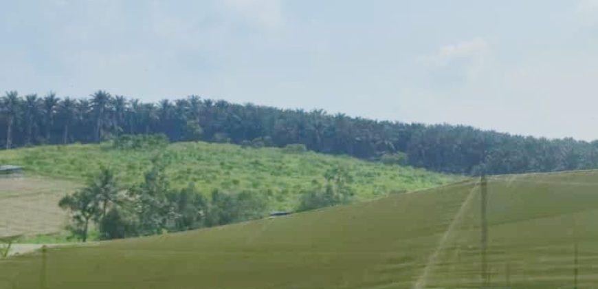 Seelong @ Senai – Industrial Land – FOR SALE