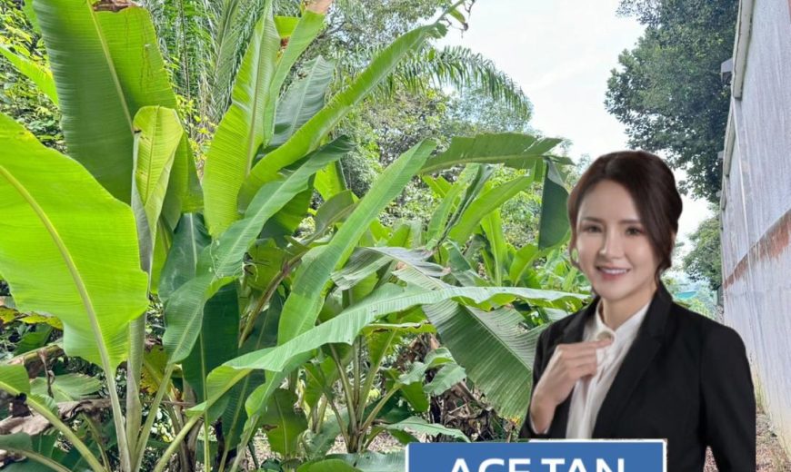 Senai Utama @ Senai – Agriculture Land – FOR SALE