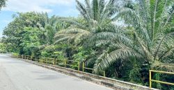 Senai Utama @ Senai – Agriculture Land – FOR SALE