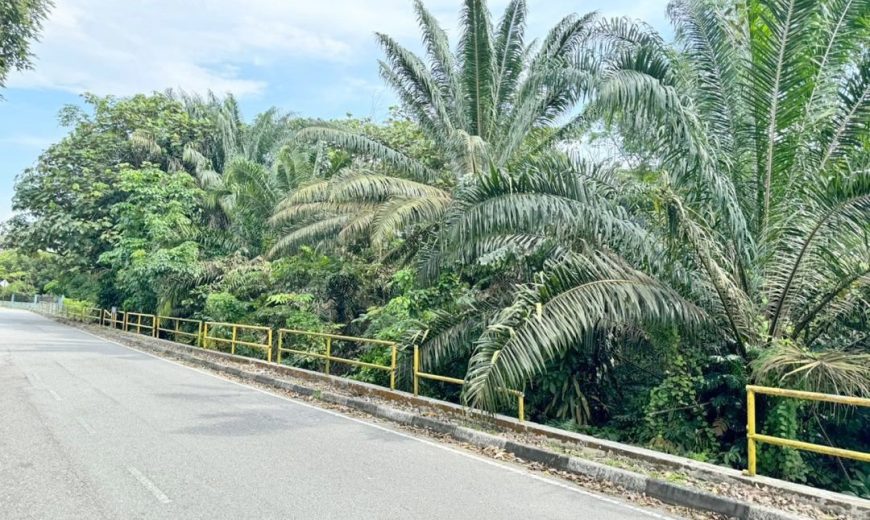 Senai Utama @ Senai – Agriculture Land – FOR SALE