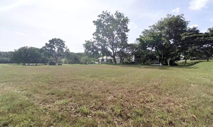 Leisure Farm – Bungalow Land – FOR SALE