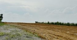 Kawasan Perindustrian Senai Fasa 3 @ Senai – Industrial Land – FOR SALE